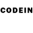 COCAIN VHQ Renier Briel