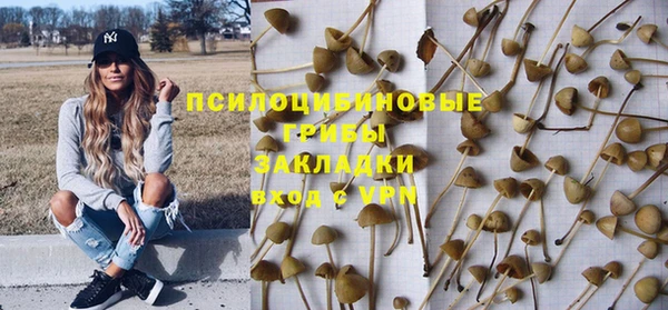 ГАЛЛЮЦИНОГЕННЫЕ ГРИБЫ Богданович