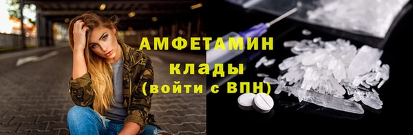 ГАЛЛЮЦИНОГЕННЫЕ ГРИБЫ Богданович