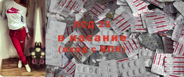 ГАЛЛЮЦИНОГЕННЫЕ ГРИБЫ Богданович