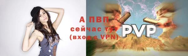 ГАЛЛЮЦИНОГЕННЫЕ ГРИБЫ Богданович