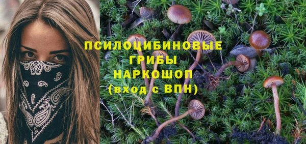 ГАЛЛЮЦИНОГЕННЫЕ ГРИБЫ Богданович
