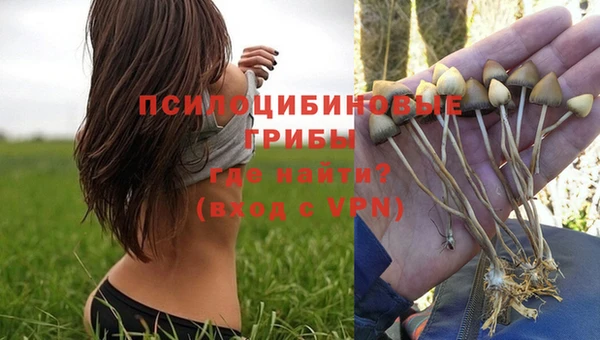 трава Покров