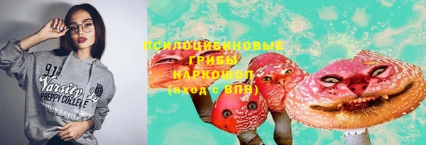 хмурый Покачи