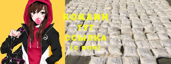 хмурый Покачи