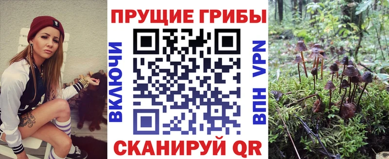 Псилоцибиновые грибы Magic Shrooms Онега